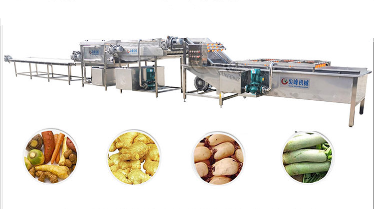 根莖類(lèi)清洗挑選流水線(xiàn)