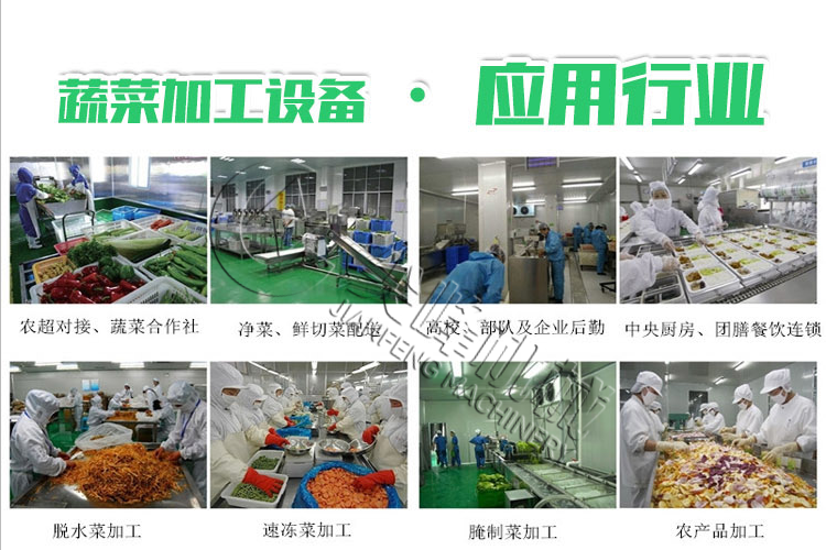 葉菜類(lèi)清洗漂燙風(fēng)干流水線