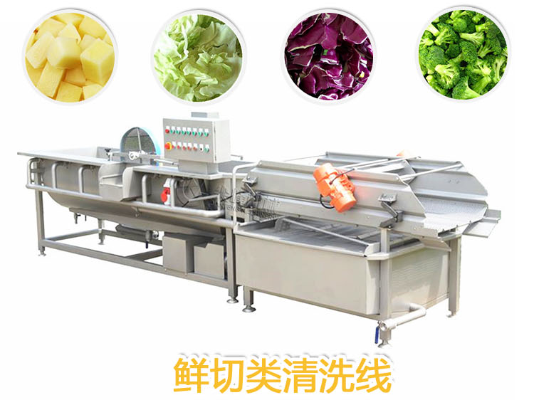 鮮切類(lèi)清洗線(xiàn)
