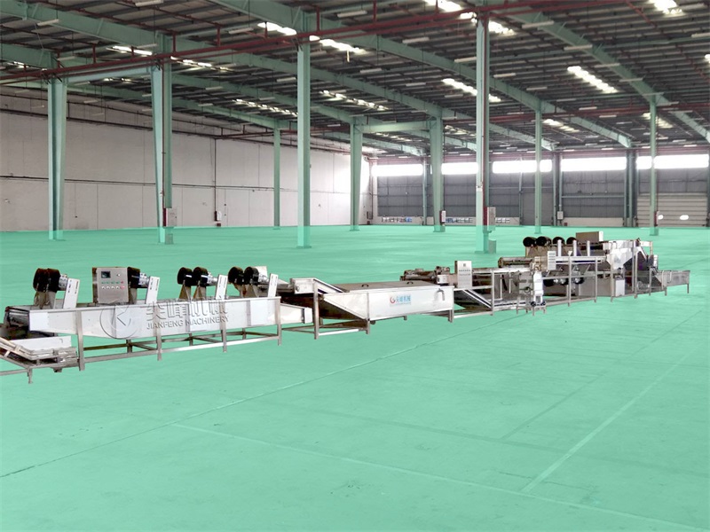 食用菌清洗風(fēng)干流水線