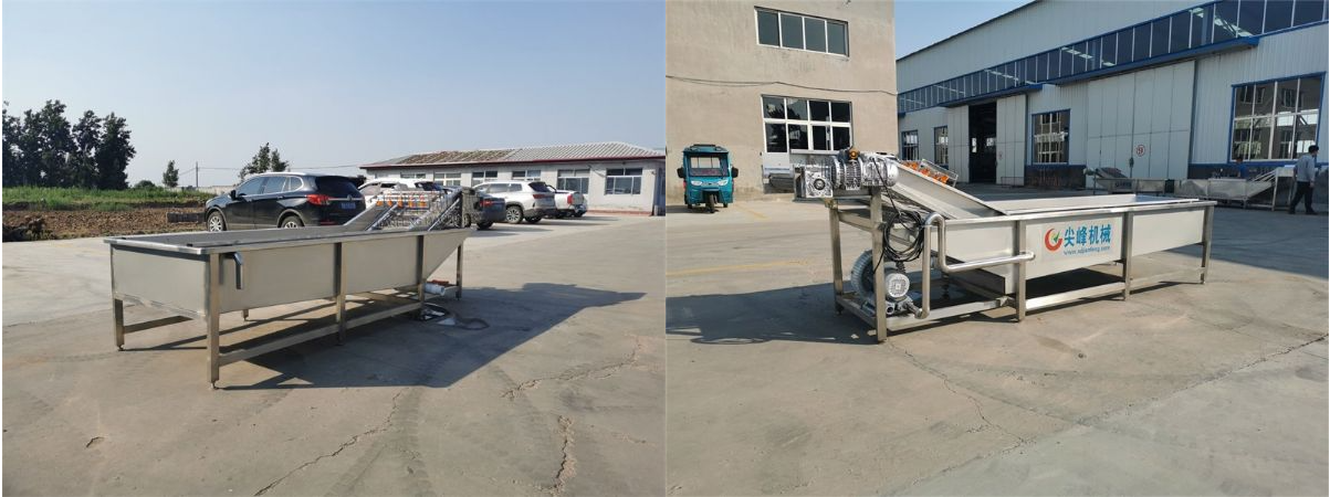 根莖類(lèi)水浴氣泡清洗機(jī)器設(shè)備