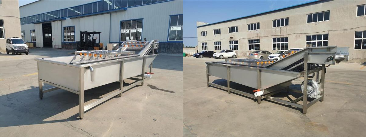 葉菜類噴淋氣泡清洗機(jī)器設(shè)備